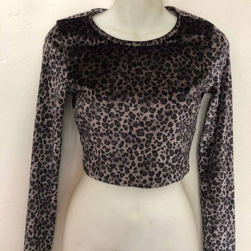 Topshop Crop